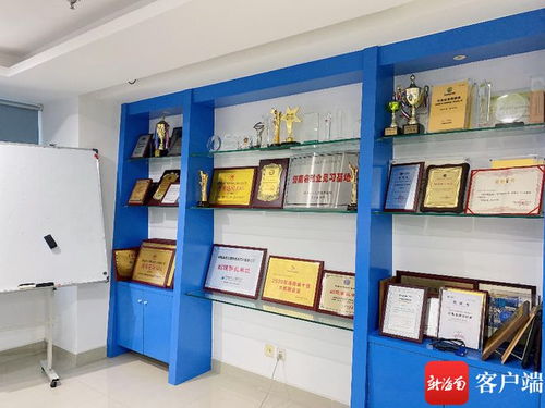 海南藍點獲評省級專精特新中小企業，軟件開發領域再添新動能